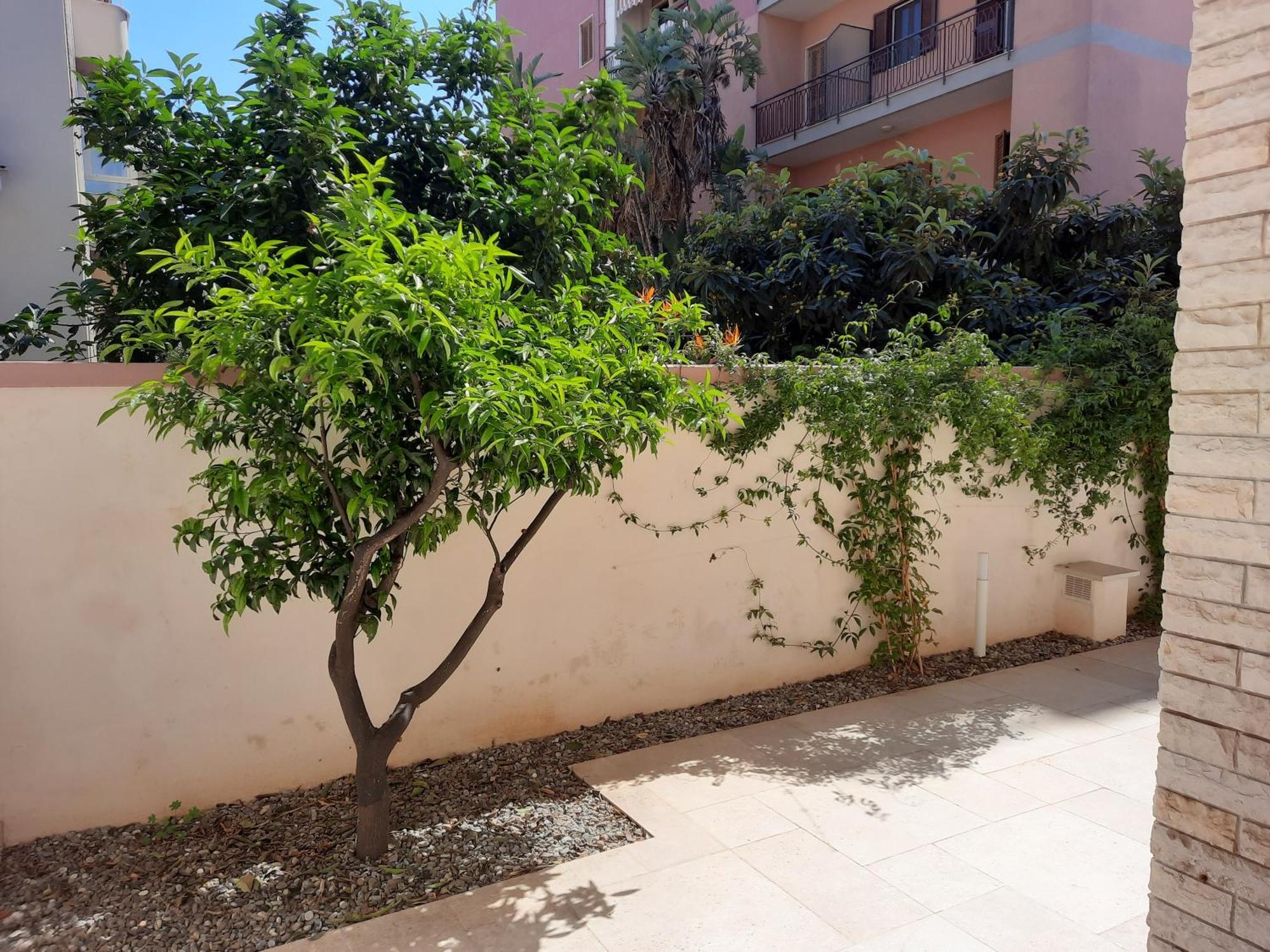 Hotel Mare Fuori - Stanze Con Piscina Monopoli Esterno foto